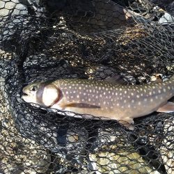 2ヶ月半ぶり釣行